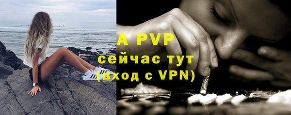 apvp Алзамай