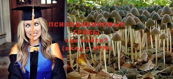 ALPHA-PVP Алексин