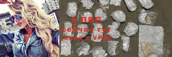 apvp Алзамай