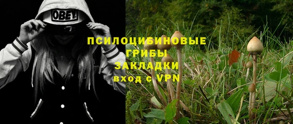 ALPHA-PVP Алексин