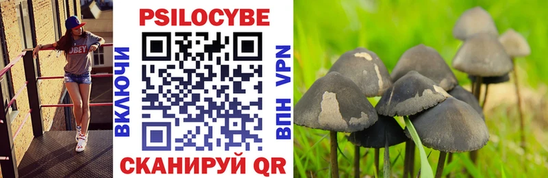 купить Чистополь Галлюциногенные грибы Cubensis