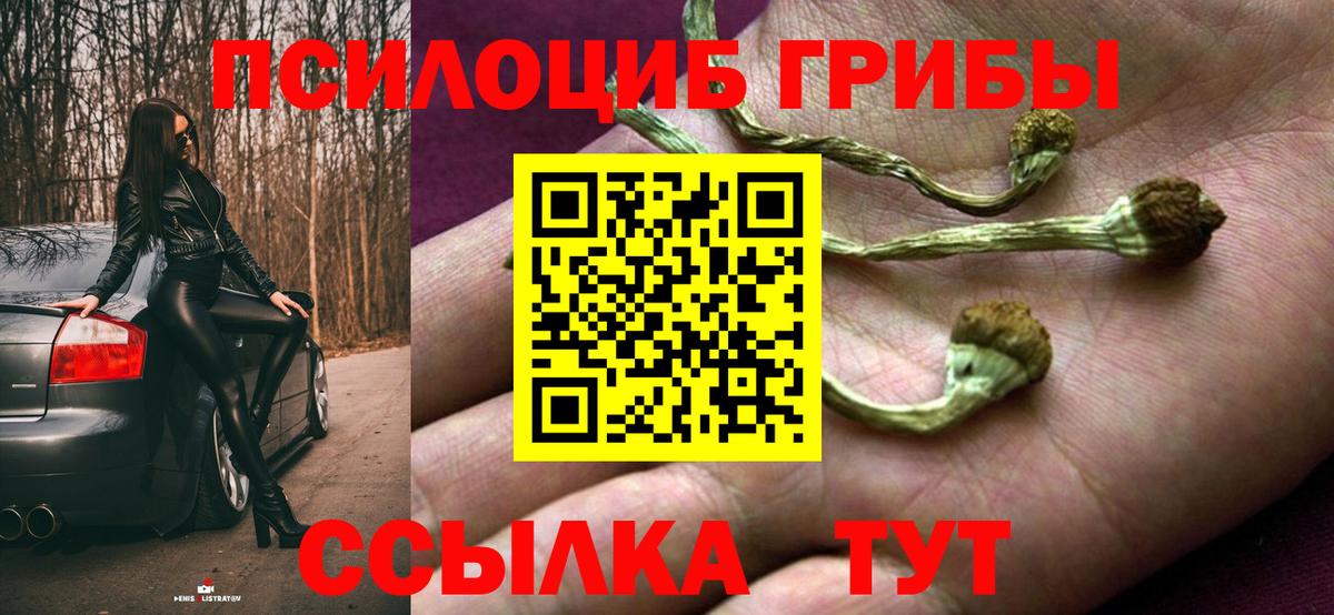 Галлюциногенные грибы прущие грибы Чистополь