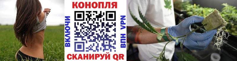 Канабис тримм  где купить   Чистополь 